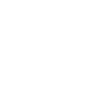 a dog and cat medication icon