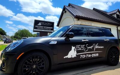 Convenient At-Home Veterinary Care: High-Quality Pet Services from 2525 Sunset Veterinarians