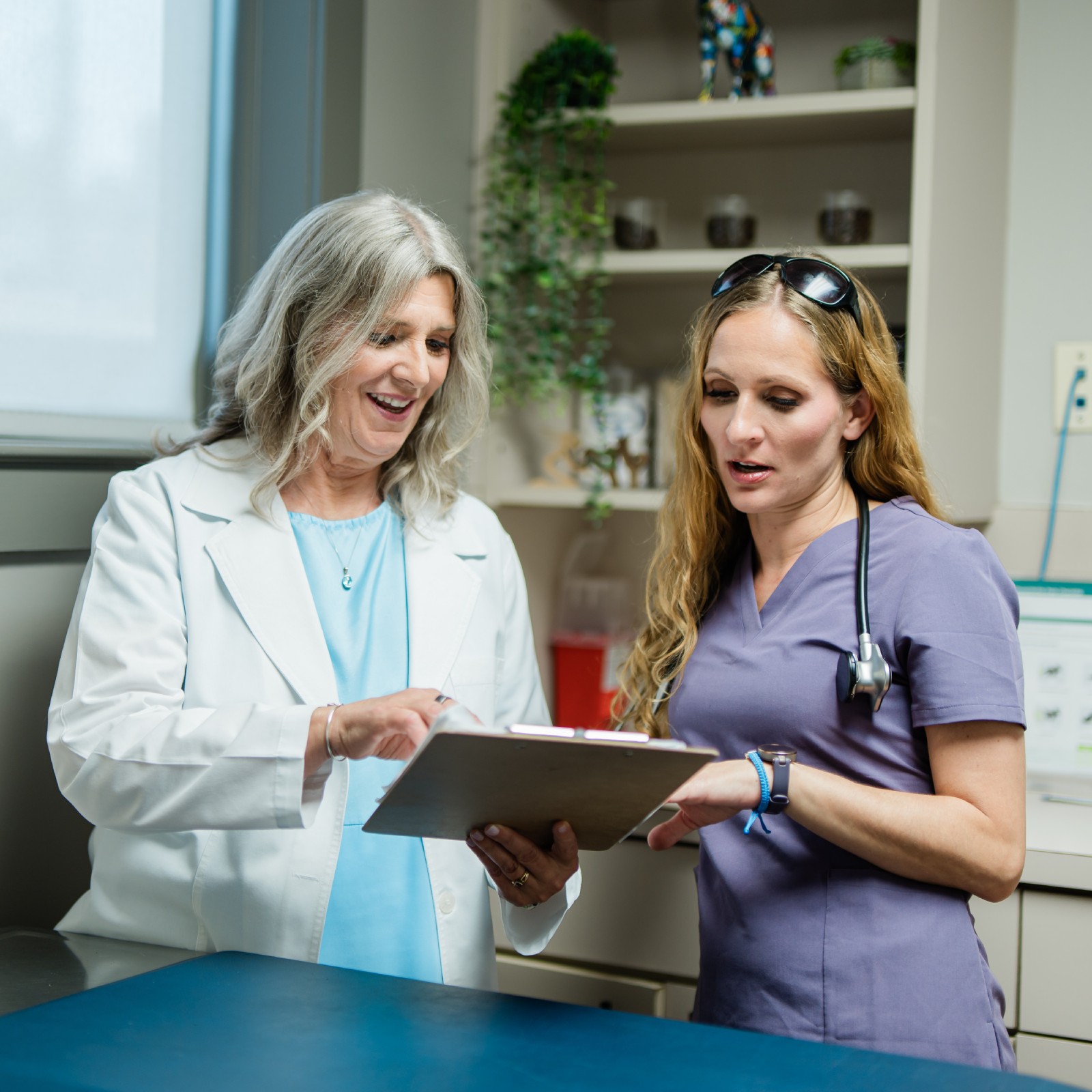 Veterinarians discussing patient chart