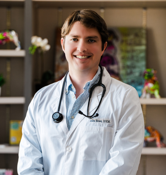 Dr Howe Dr Howe