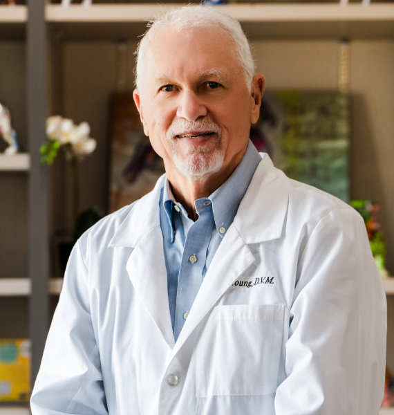Dr Young Dr Young